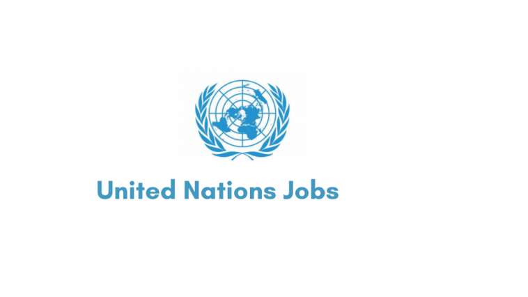 United Nations Jobs