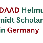 DAAD Helmut Schmidt Scholarship 2025