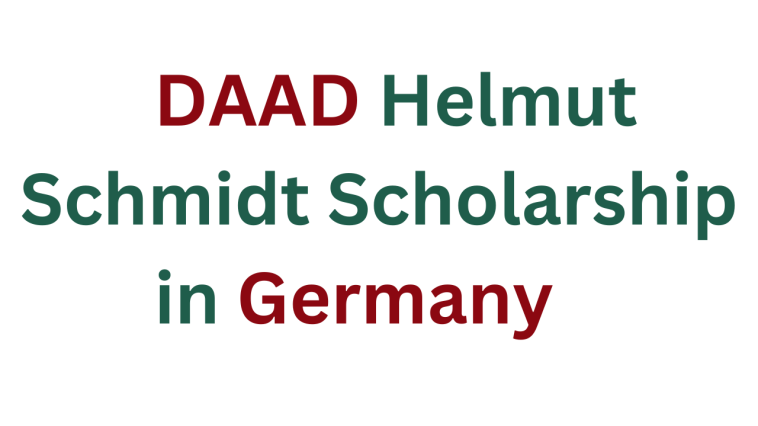 DAAD Helmut Schmidt Scholarship 2025