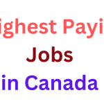 Top Highest Paying Jobs in Canada