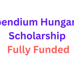 Stipendium Hungaricum Scholarship 2024