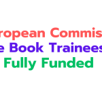 European Commission Blue Book Traineeship 2024