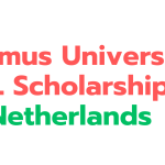 Erasmus University NL Scholarship in Netherlands 2024