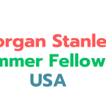 Morgan Stanley 2025 Sustainable Summer Fellowship in USA
