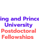 Peking and Princeton University Postdoctoral Fellowships 2025