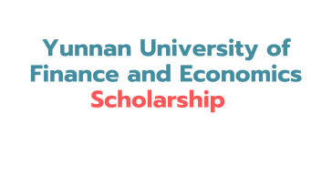 Yunnan University of Finance and Economics Scholarship 2025