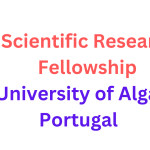 Scientific Research Fellowship 2025 at the University of Algarve
