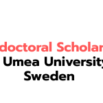 Postdoctoral Scholarship 2026 at Umeå University, Sweden