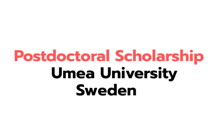 Postdoctoral Scholarship 2026 at Umeå University, Sweden